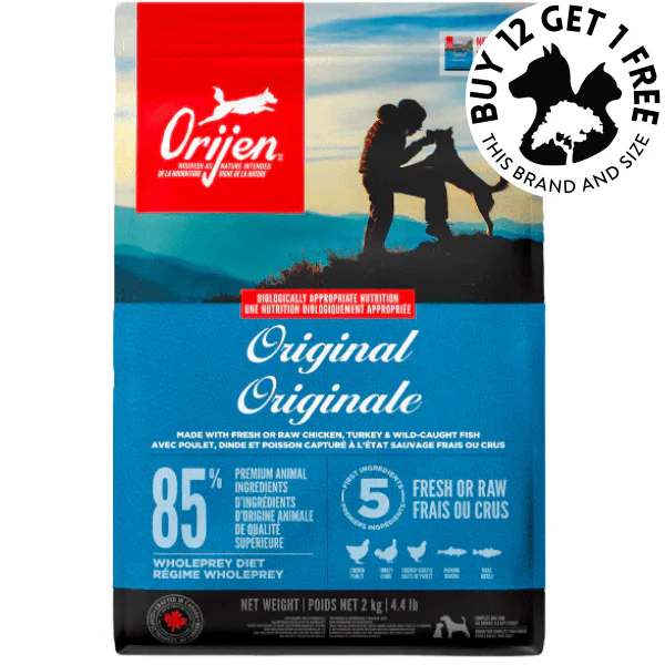 Popular Dog Foods